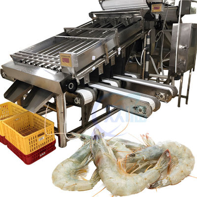 Giá tốt. Smart 304 thép không gỉ máy phân loại tôm đáng tin cậy phù hợp với ngành công nghiệp thủy sản máy phân loại tôm trực tuyến