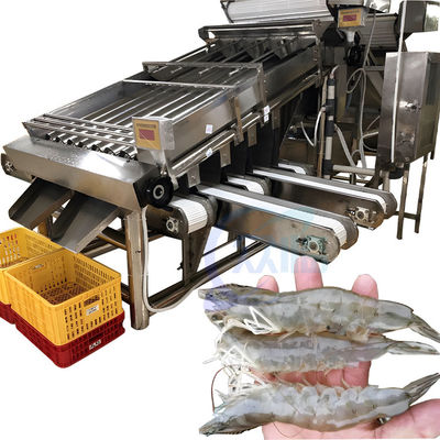 Máy tách tôm Máy phân loại tôm chính xác cao cho chế biến hải sản