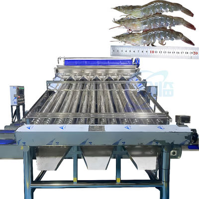 Giá tốt. Máy loại bỏ và loại bỏ tạp chất tôm trực tuyến