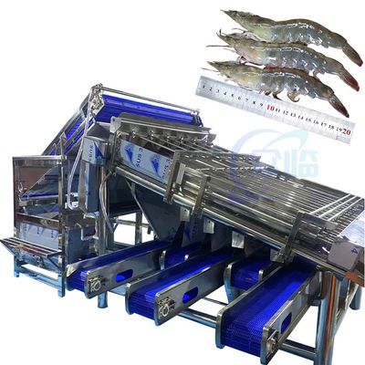 Máy phân loại động vật có vỏ sò Máy làm sạch và phân loại tôm, tự động nghiền vỏ tôm, vỏ và loại bỏ sợi tôm