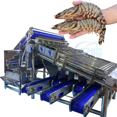 Giá tốt. Thiết bị hải sản Máy xẻo tôm Máy chế biến vỏ tôm Vòng xoắn thép không gỉ Máy phân loại tôm nhanh trực tuyến