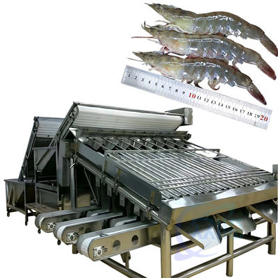Giá tốt. Máy chế biến phân loại thủy sản và tôm, máy phân loại tôm và cá, máy phân loại tôm và tôm trực tuyến