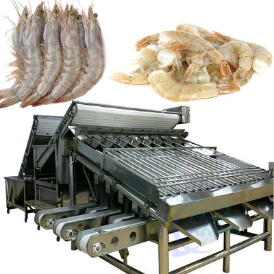 Tự động hoàn toàn loại thực phẩm thép không gỉ tôm 18 cuộn máy đánh trống