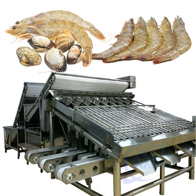 Máy phân loại cá máy làm sạch và phân loại tôm