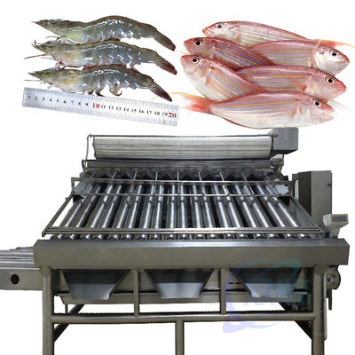 Máy phân loại cá tự động Máy phân loại kích thước cá Máy phân loại cá