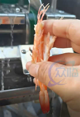 Giá tốt. Máy cắt tôm bán chạy Máy cắt tôm EBI Máy cắt bụng tôm trực tuyến