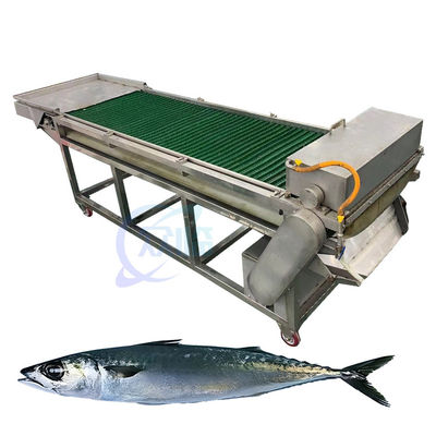 Giá tốt. Máy cắt và loại bỏ đầu cá chuyên nghiệp Máy cắt đầu cá Máy loại bỏ đầu cá trực tuyến