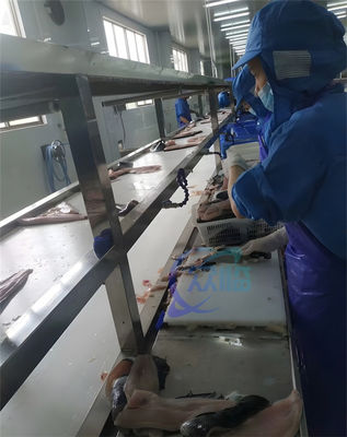 Giá tốt. Máy lột da cá rô phi 304 chuyên nghiệp bằng thép không gỉ 0,75KW Máy lột da cá rô phi trực tuyến