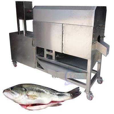 Giá tốt. Đường dây sản xuất chế biến cá hoàn toàn tự động Làm sạch ruồi cỏ, ruồi, cá ngọc, cá cá và các cá khác trực tuyến