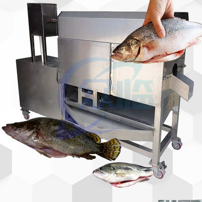 Máy lọc và giặt ruột cá tự động