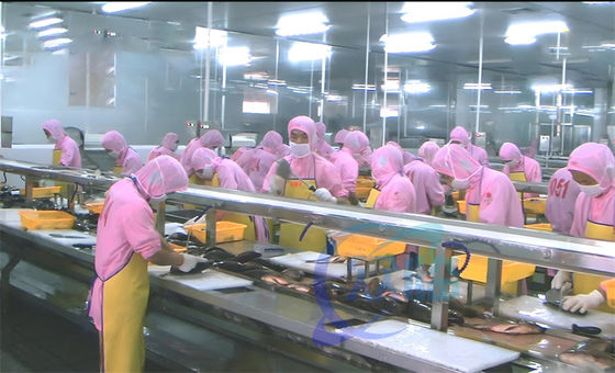Giá tốt. Máy chế biến tôm và cá Multi Person Processing Flow Platform trực tuyến