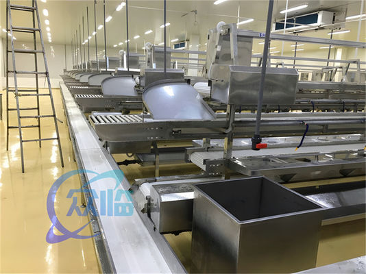 Giá tốt. 1506kg Đường sản xuất thủy sản Thép không gỉ Bàn làm việc tùy chỉnh Đường xử lý cá và tôm Vành dây chuyền vận chuyển trực tuyến