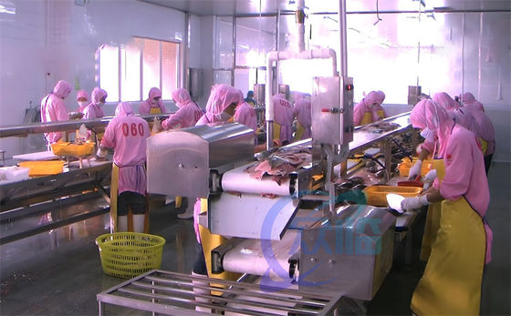 Giá tốt. Máy chế biến cá và tôm dây chuyền vận chuyển Nhà máy thủy sản Bàn làm việc Dòng chế biến tôm trực tuyến