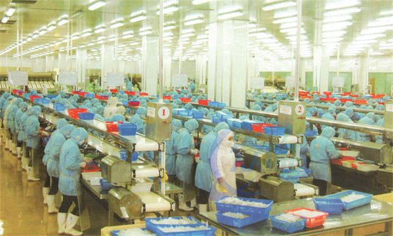 Giá tốt. Tùy chỉnh khung thép không gỉ chế biến thực phẩm dây chuyền lắp ráp dây chuyền vận chuyển dây chuyền vận chuyển xử lý cá trực tuyến