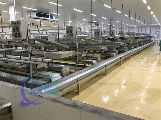 Giá tốt. 3.10KW dây chuyền sản xuất sản xuất sản xuất sản xuất cá trực tuyến