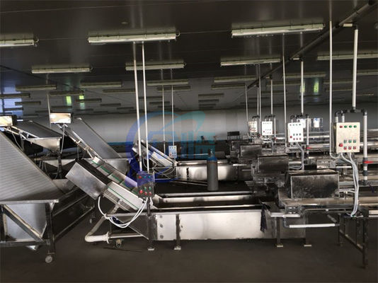 Giá tốt. Cá hải sản tự động Máy rửa bong bóng cao áp Máy làm sạch tôm Băng tải rã đông trực tuyến