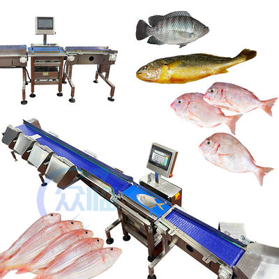Giá tốt. Máy phân loại cá bằng máy điều khiển máy tính Máy phân loại cá cho Tilapia Basa trực tuyến