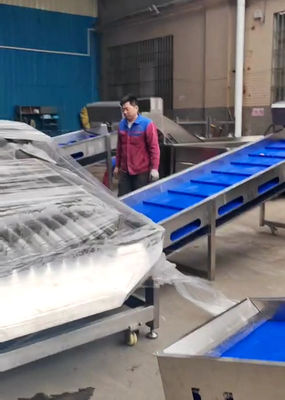 Giá tốt. Máy phân loại cá Pelagic có dung lượng lớn 5-10T / H cho dây chuyền phân loại cá tự động trực tuyến