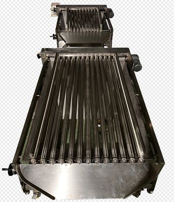 Giá tốt. Bốn mô hình máy phân loại cá tự động và kích thước cá nhỏ với ổn định cao trực tuyến