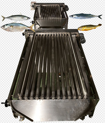 Giá tốt. Bốn phong cách tự động Mackerel xếp hạng và phân loại Pelagic cá thiết bị trực tuyến