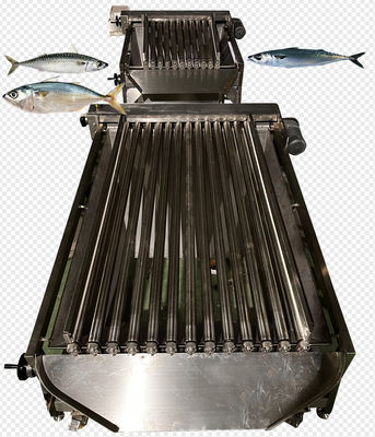 Bốn kiểu tự động phân loại cá và máy đánh cá trâu