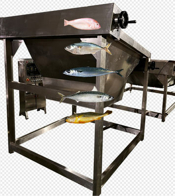 Bốn phong cách tự động phân loại cá và kích thước Mackerel Line với 5-10T / H