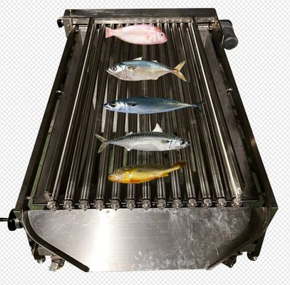 Giá tốt. Máy đo cá tự động tốc độ cao để phân loại nhiều loại cá đại dương trực tuyến