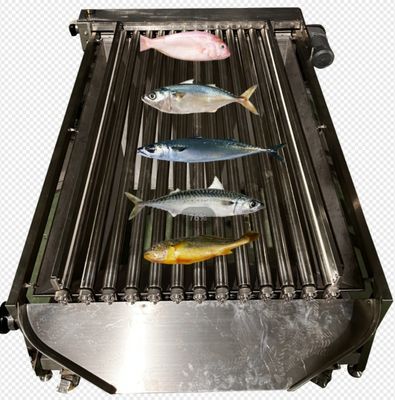 Capacity 5-10T/H Fish Automatic Sorting Machine, Sizeing Small Fish And Grading Ocean (Cơ chế phân loại cá nhỏ và phân loại đại dương)