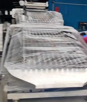 Thiết bị phân loại cá theo yêu cầu của PLC để phân loại cá nhỏ với tự động