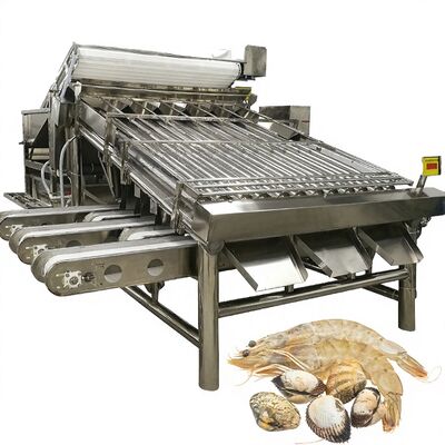 Giá tốt. Thiết bị phân loại tôm bằng thép không gỉ Khả năng chống xói mòn ổn định Máy phân loại tôm 4.9KW cho nhà máy tôm Máy phân loại tôm tự động trực tuyến
