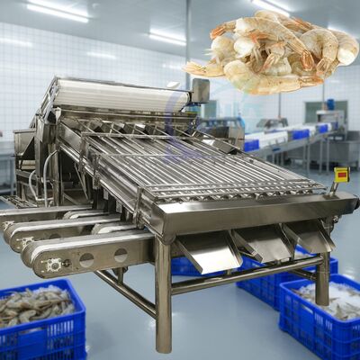 Giá tốt. Máy phân loại tôm công nghiệp để chế biến tôm Máy phân loại tôm chống nước Máy phân loại tôm Tự động Máy kích thước tôm trực tuyến
