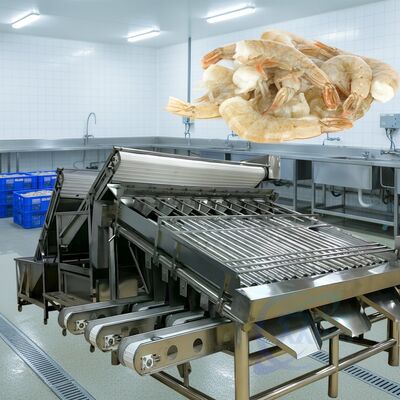 Giá tốt. Máy phân loại tôm lăn bền 1500kg-2000kg/h Máy phân loại tôm lăn ổn định cao Máy phân loại tôm lăn cho hải sản trực tuyến