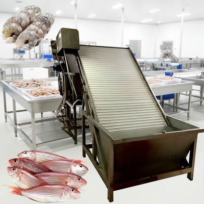 Giá tốt. Máy phân loại nhanh và quy định kích cỡ Tôm nuôi máy phân loại tôm trực tuyến
