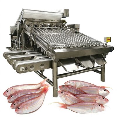 Giá tốt. Máy phân loại cá hiệu quả Máy phân loại cá và Máy đặc tả cá 1000kg-1200kg Máy phân loại cá cho chế biến cá trực tuyến