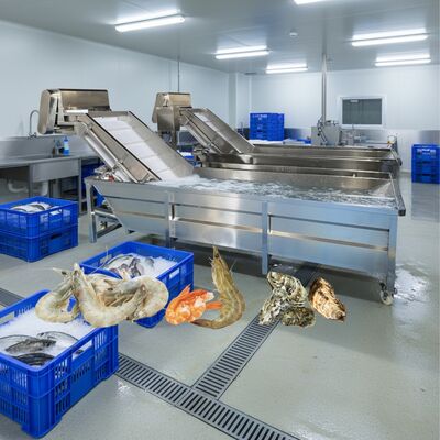 Giá tốt. Máy giặt bong bóng Zolim cho thủy sản Máy làm sạch cá 2,2kw Máy giặt tôm thông minh cho nhà máy chế biến thủy sản trực tuyến