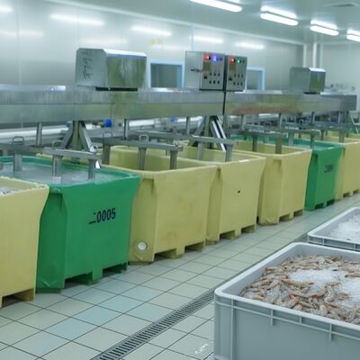Giá tốt. Máy xay sinh tố hải sản để chế biến cá Máy ngâm cá tốt nhất Máy xay tôm Zolim cho nhà máy chế biến hải sản trực tuyến