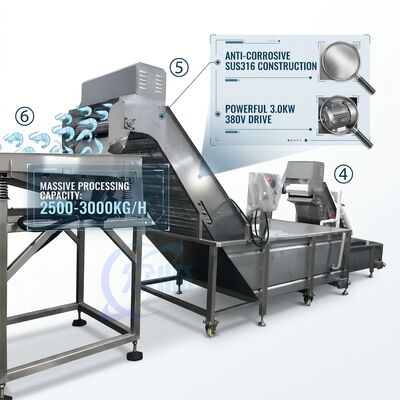 Giá tốt. Heavy Duty Shrimp Deheading Production Line Precision SUS316 1000-1500KG 11.7KW 415V trực tuyến