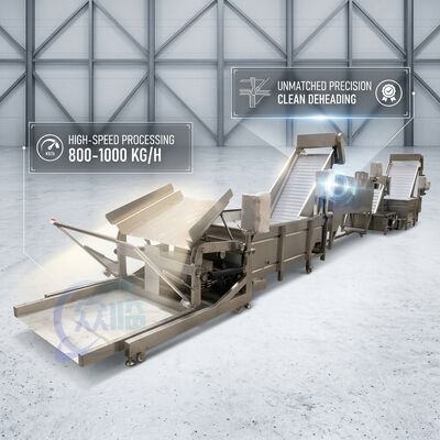 Giá tốt. SUS316 Shrimp Deheading System Food Grade SUS304 800-1000KG 3.0KW 415V For Fish Processing Plant trực tuyến
