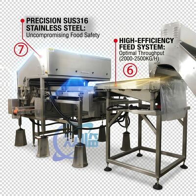 Giá tốt. Rugged Shrimp Head Separator SUS304 Stainless Steel 800-1000KG 15KW 440V For Shrimp Processing Plant trực tuyến