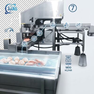 Giá tốt. High Output Shrimp Processing Machine Hygienic SUS304 500-800KG 0.8KW 220V For Seafood Export Company trực tuyến