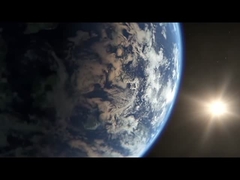 Máy phân loại cá tự động Máy phân loại kích thước cá Máy phân loại cá