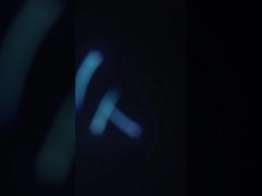 SUS304 Máy làm sạch tôm thực tế, Máy phân tách chất thải tôm đa dụng